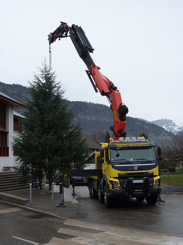 Coupe et mise en place du sapin de Noël